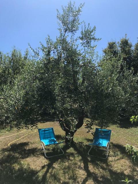 Casa Lory Poggio Murella Dış mekan fotoğraf